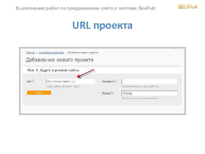 Выполнение работ по продвижению сайта в системе Seo. Pult URL проекта 