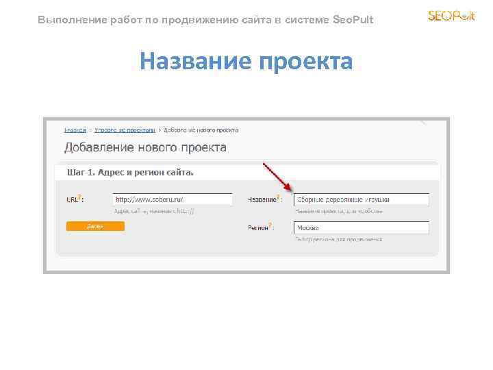 Выполнение работ по продвижению сайта в системе Seo. Pult Название проекта 