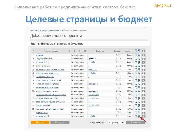 Выполнение работ по продвижению сайта в системе Seo. Pult Целевые страницы и бюджет 