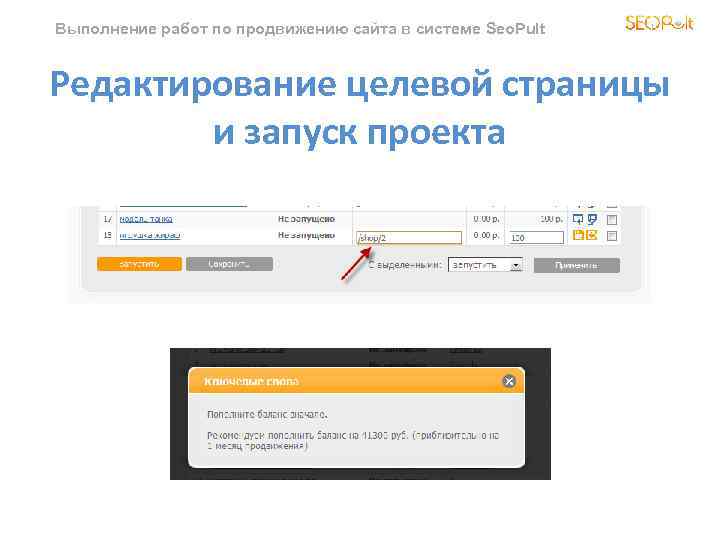 Выполнение работ по продвижению сайта в системе Seo. Pult Редактирование целевой страницы и запуск
