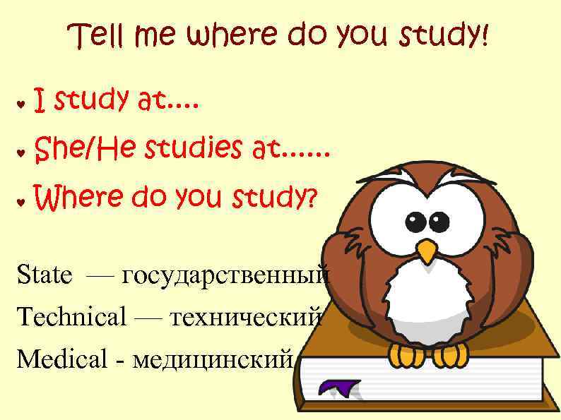 Tell me where do you study! ♥ I study at. . ♥ She/He studies