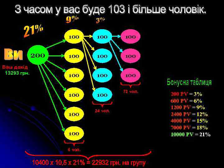 100 200 Ваш дохід 13293 грн. 100 100 100 6 чол. 24 чол. 72