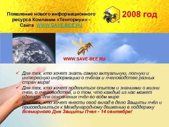 Появление нового информационного ресурса Компании «Тенториум» Сайта WWW. SAVE-BEE. RU 2008 год WWW. SAVE-BEE.