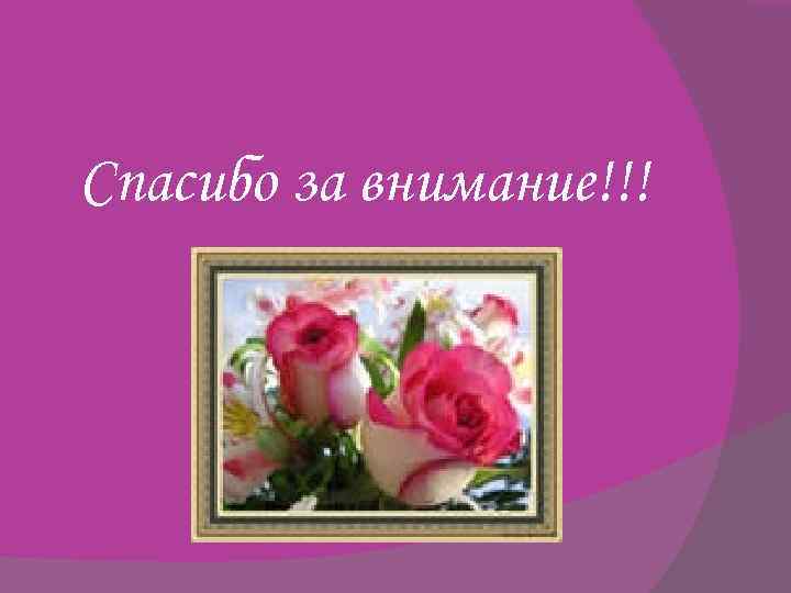 Спасибо за внимание!!! 