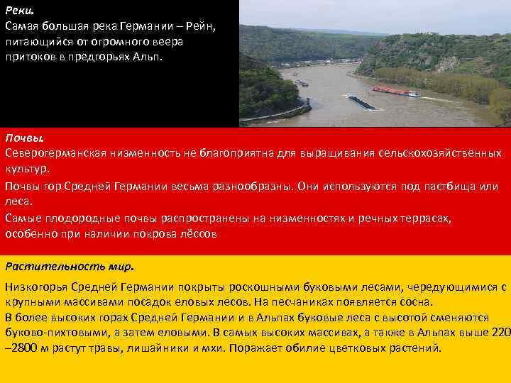 Реки. Самая большая река Германии – Рейн, питающийся от огромного веера притоков в предгорьях