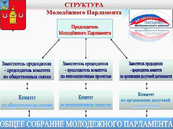 СТРУКТУРА Молодёжного Парламента 