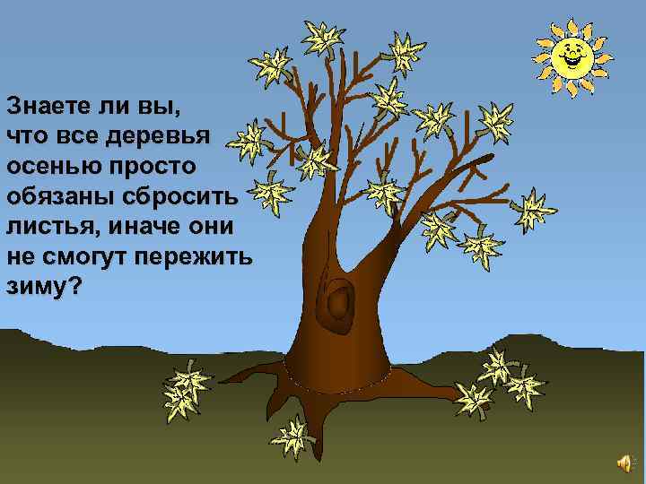 Знаете ли вы, что все деревья осенью просто обязаны сбросить листья, иначе они не