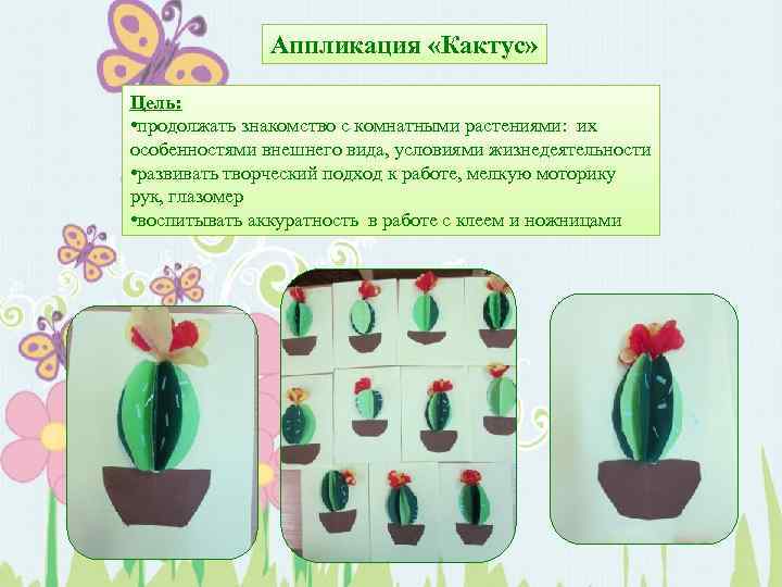 Аппликация «Кактус» Цель: • продолжать знакомство с комнатными растениями: их особенностями внешнего вида, условиями