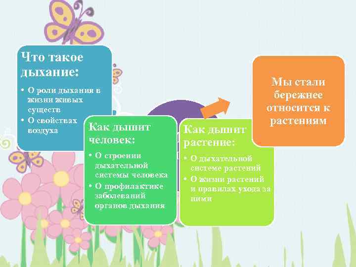 Что такое дыхание: • О роли дыхания в жизни живых существ • О свойствах