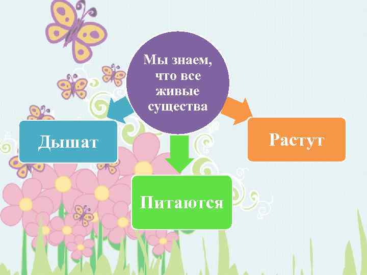 Мы знаем, что все живые существа Растут Дышат Питаются 