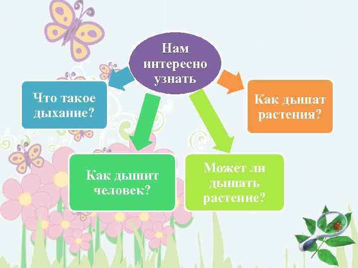 Нам интересно узнать Что такое дыхание? Как дышит человек? Как дышат растения? Может ли