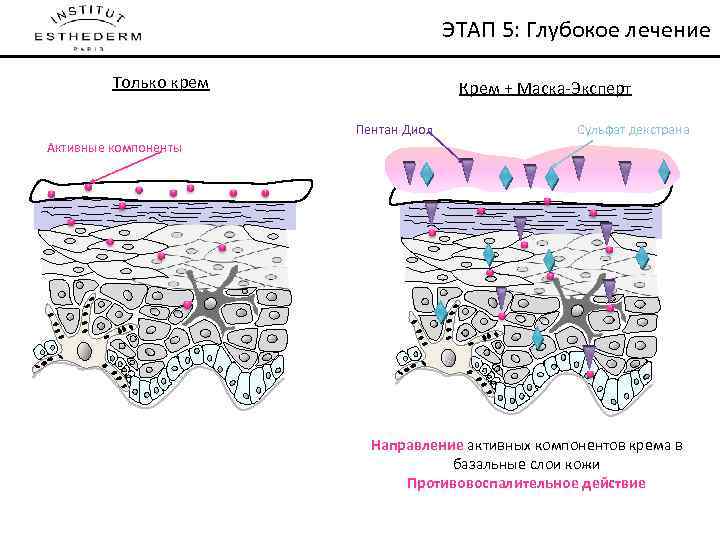 ЭТАП 5: Глубокое лечение Только крем Крем + Маска-Эксперт Пентан Диол Сульфат декстрана Активные