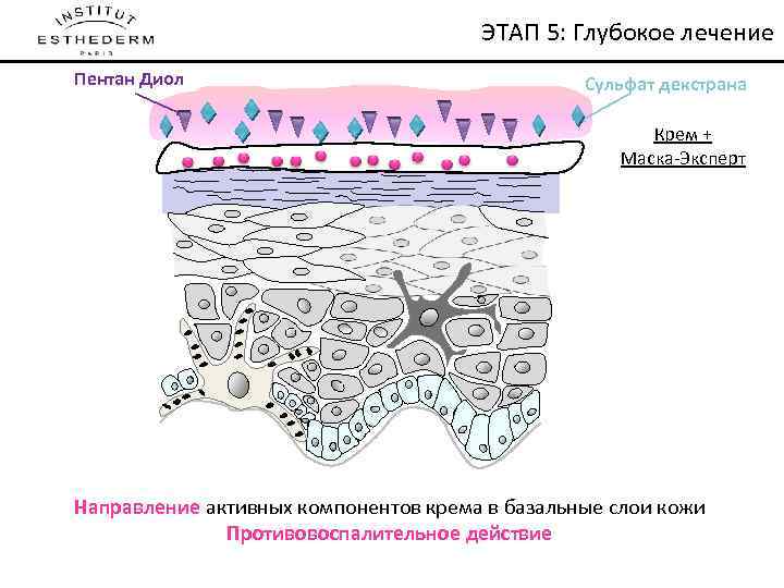 ЭТАП 5: Глубокое лечение Пентан Диол Сульфат декстрана Крем + Маска-Эксперт Направление активных компонентов