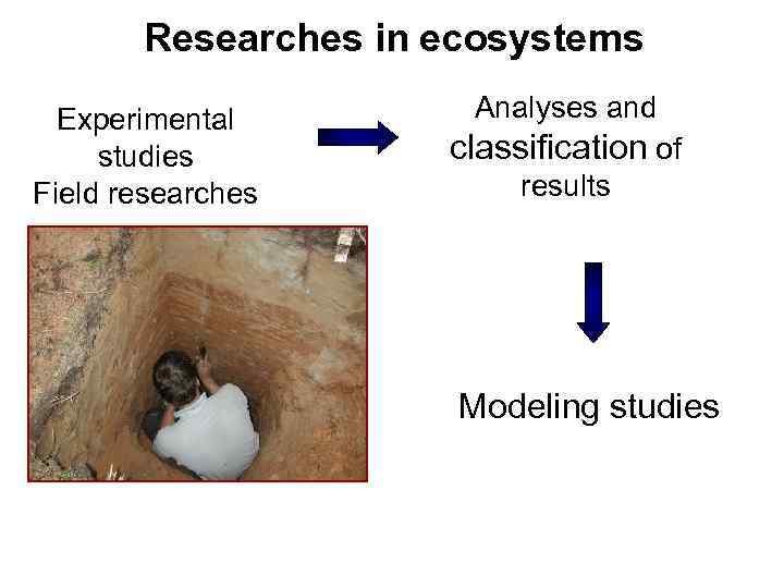 Researches in ecosystems Experimental studies Field researches Analyses and classification of results Modeling studies