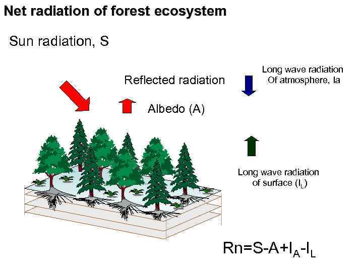 Net radiation of forest ecosystem Sun radiation, S Reflected radiation Long wave radiation Of