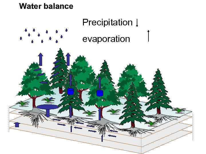 Water balance Precipitation evaporation 