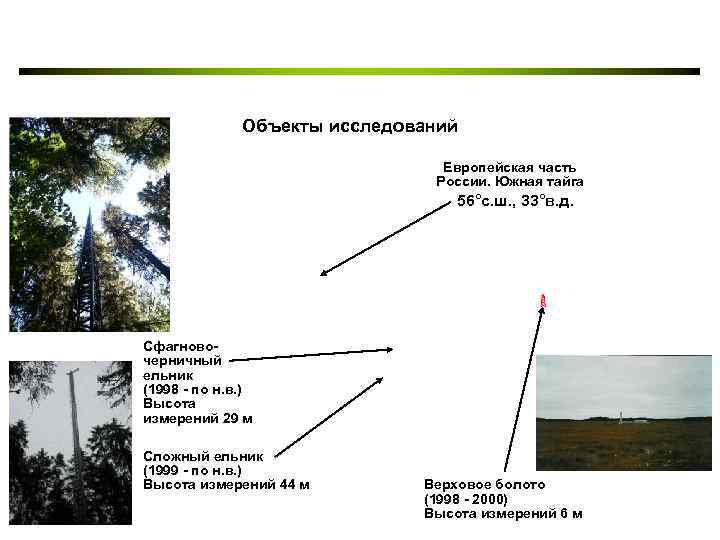 Объекты исследований Европейская часть России. Южная тайга 56°с. ш. , 33°в. д. Сфагновочерничный ельник