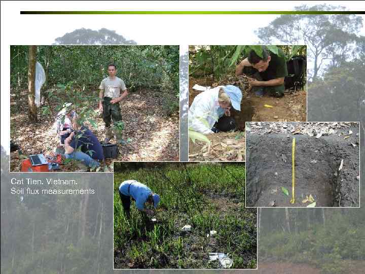 Cat Tien. Vietnam. Soil flux measurements 