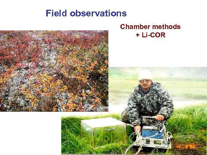 Field observations Chamber methods + Li-COR 