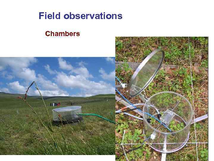 Field observations Chambers 