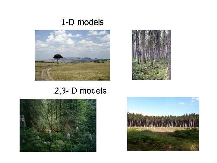1 -D models 2, 3 - D models 