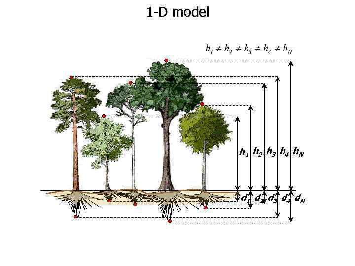 1 -D model h 1 h 2 h 3 h 4 h. N d