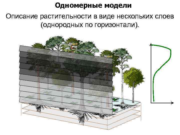 Одномерные модели Описание растительности в виде нескольких слоев (однородных по горизонтали). 