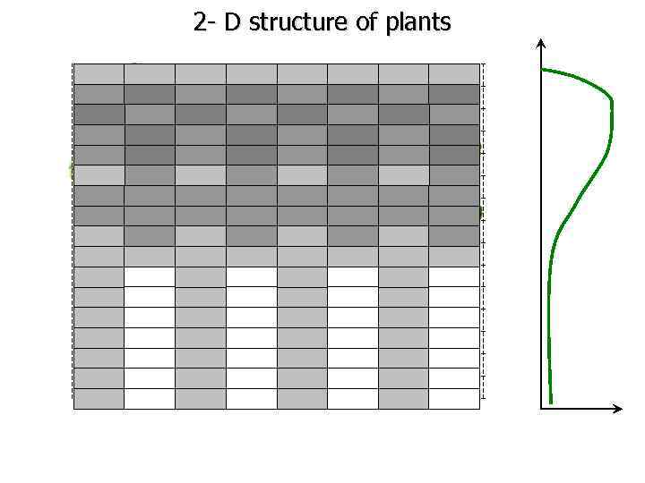 2 - D structure of plants 