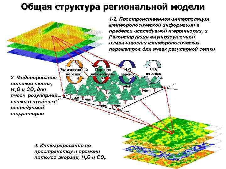 Общая структура региональной модели 1 -2. Пространственная интерполяция метеорологической информации в пределах исследуемой территории,
