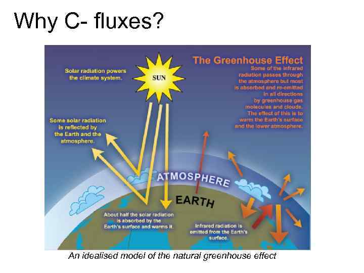 Why C- fluxes? An idealised model of the natural greenhouse effect 