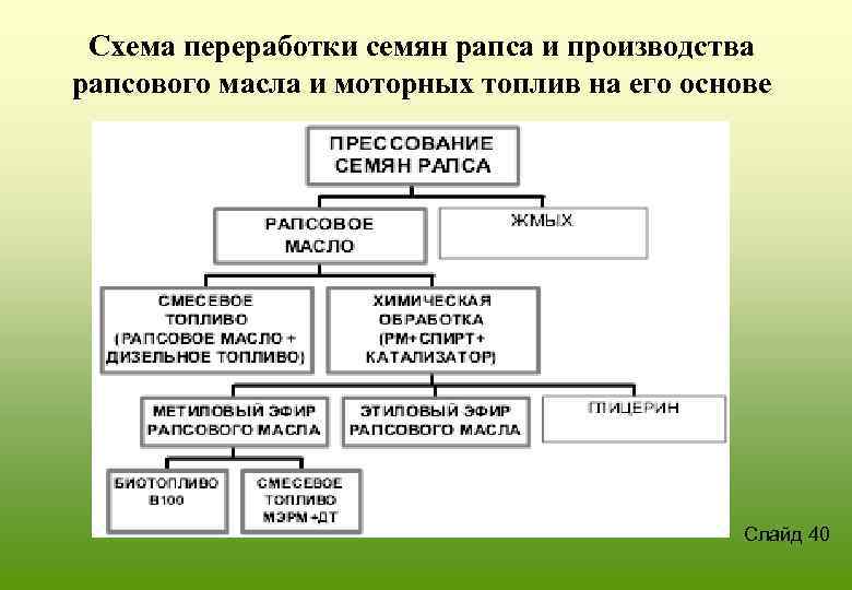 Схема производства рапсового масла