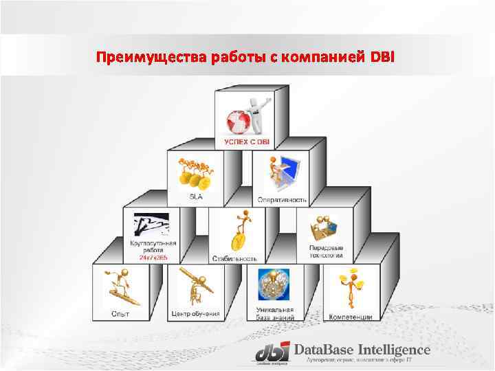 Преимущества работы с компанией DBI 