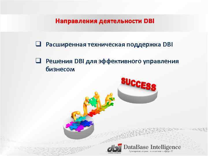 Направления деятельности DBI q Расширенная техническая поддержка DBI q Решения DBI для эффективного управления