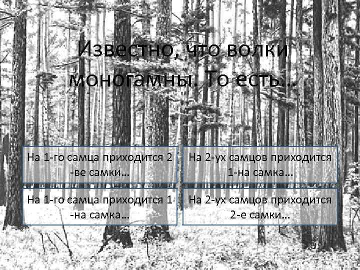 Известно, что волки моногамны. То есть… На 1 -го самца приходится 2 -ве самки…