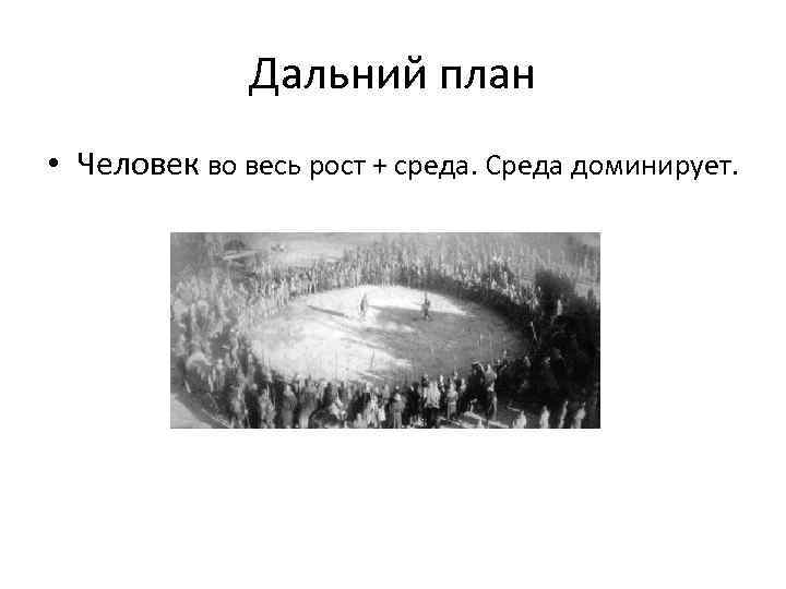 Дальний план • Человек во весь рост + среда. Среда доминирует. 