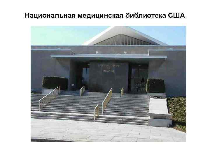 Национальная медицинская библиотека США 