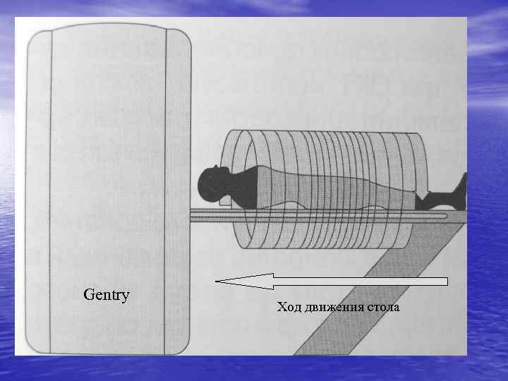 Gentry Ход движения стола 