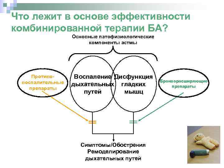 Что лежит в основе эффективности комбинированной терапии БА? Основные патофизиологические компоненты астмы Противовоспалительные препараты