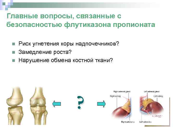 Главные вопросы, связанные с безопасностью флутиказона пропионата Риск угнетения коры надпочечников? Замедление роста? Нарушение