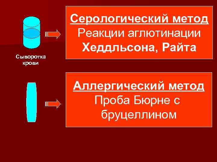 Сыворотка крови Серологический метод Реакции аглютинации Хеддльсона, Райта Аллергический метод Проба Бюрне с бруцеллином