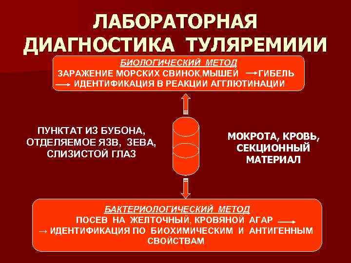 ЛАБОРАТОРНАЯ ДИАГНОСТИКА ТУЛЯРЕМИИИ БИОЛОГИЧЕСКИЙ МЕТОД ЗАРАЖЕНИЕ МОРСКИХ СВИНОК, МЫШЕЙ ГИБЕЛЬ ИДЕНТИФИКАЦИЯ В РЕАКЦИИ АГГЛЮТИНАЦИИ