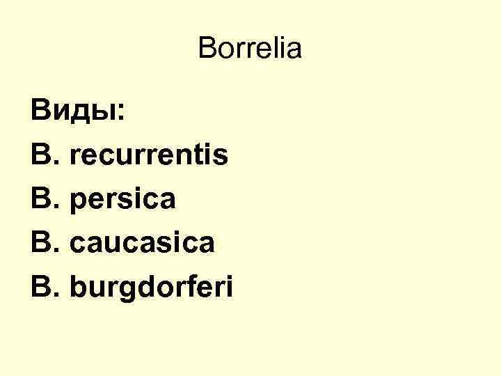 Borrelia Виды: B. recurrentis B. persica B. caucasica B. burgdorferi 