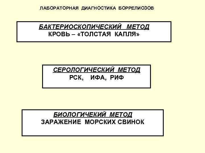 ЛАБОРАТОРНАЯ ДИАГНОСТИКА БОРРЕЛИОЗОВ БАКТЕРИОСКОПИЧЕСКИЙ МЕТОД КРОВЬ – «ТОЛСТАЯ КАПЛЯ» СЕРОЛОГИЧЕСКИЙ МЕТОД РСК, ИФА, РИФ