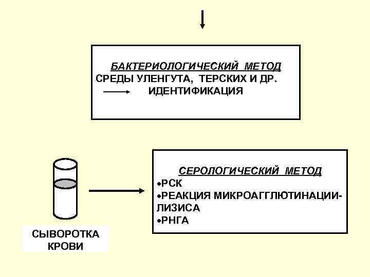 БАКТЕРИОЛОГИЧЕСКИЙ МЕТОД СРЕДЫ УЛЕНГУТА, ТЕРСКИХ И ДР. ИДЕНТИФИКАЦИЯ СЕРОЛОГИЧЕСКИЙ МЕТОД РСК РЕАКЦИЯ МИКРОАГГЛЮТИНАЦИИЛИЗИСА РНГА