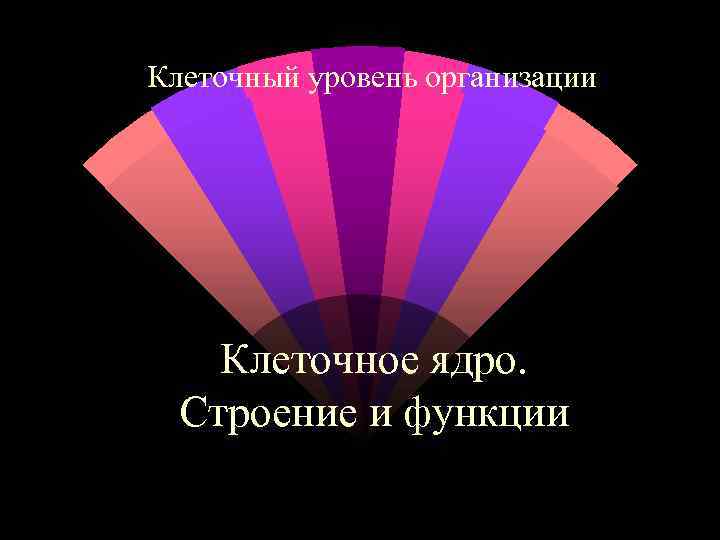 Клеточный уровень организации Клеточное ядро. Строение и функции 