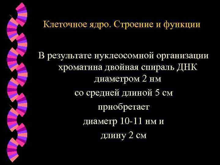Клеточное ядро. Строение и функции В результате нуклеосомной организации хроматина двойная спираль ДНК диаметром