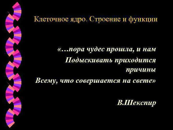 Клеточное ядро. Строение и функции Морфологическая кариология: проблемы и перспективы «…пора чудес прошла, и