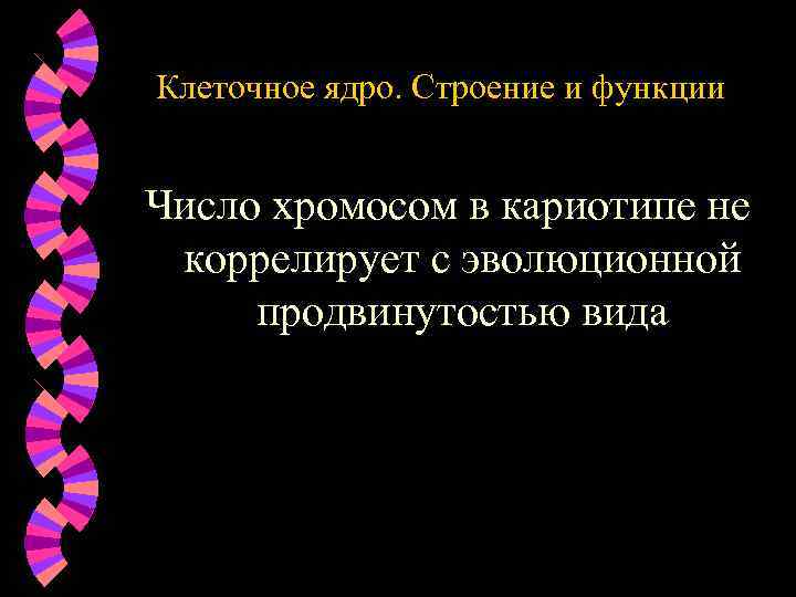 Клеточное ядро. Строение и функции Число хромосом в кариотипе не коррелирует с эволюционной продвинутостью