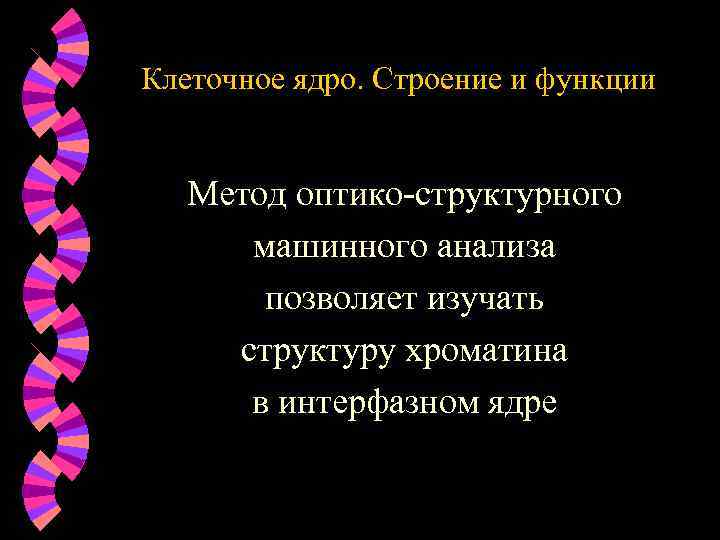 Клеточное ядро. Строение и функции Метод оптико-структурного машинного анализа позволяет изучать структуру хроматина в