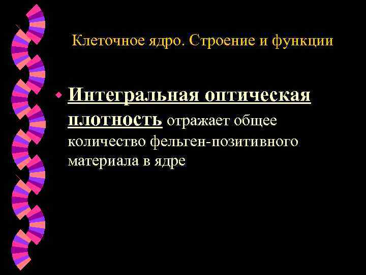 Клеточное ядро. Строение и функции w Интегральная оптическая плотность отражает общее количество фельген-позитивного материала